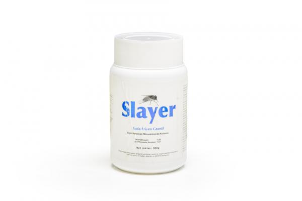 SLAYER SG